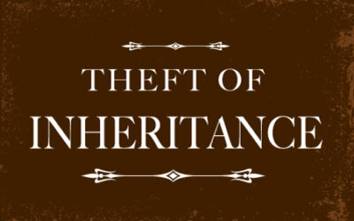 Various Means Used to Steal Money from Inheritance, Chapter Two